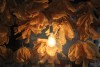 Vessies-Lanternes-Photo-charles-Guy-2 thumbnail