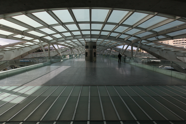 Estação do Oriente à Lisbonne de l'architecte Santiago Calatrava - Photo de Charles GUY