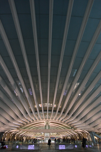 Estação do Oriente à Lisbonne de l'architecte Santiago Calatrava - Photo de Charles GUY