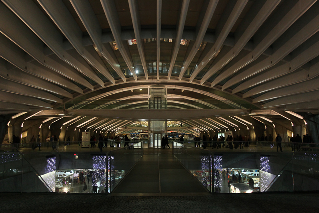 Estação do Oriente à Lisbonne de l'architecte Santiago Calatrava - Photo de Charles GUY