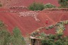 photo-sud-maroc-les-marocains-au-travail-par-charles-guy-2 thumbnail