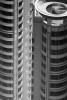 rythme-and-blues-photos-de-shanghai-charles-guy-nb-4 thumbnail