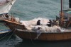 Sujet-Bateau-Hong-Kong-Photo-charles-Guy-5 thumbnail