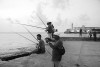 a-la-peche-photos-de-cuba-collection-roll-in-la-habana-charles-guy-13 thumbnail