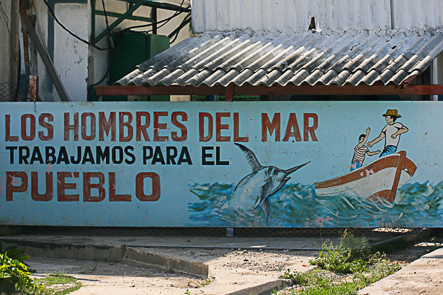 A la pêche à Cuba - Photo de Charles Guy - Collection 