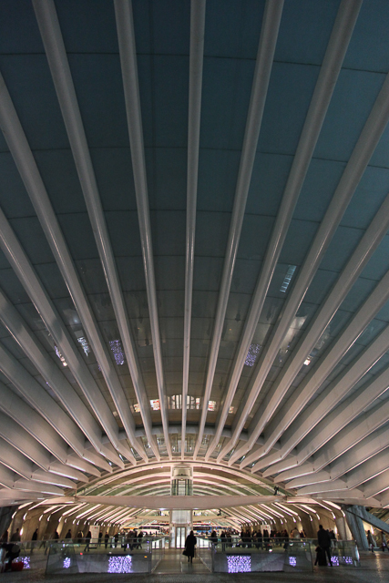 Estação do Oriente à Lisbonne de l'architecte Santiago Calatrava - Photo de Charles GUY