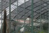 photo-des-jardins-des-serres-d-auteuil-paris-par-charles-guy thumbnail