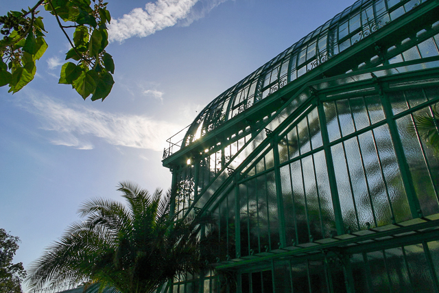 Photo du jardin des Serres d'Auteuil à Paris par Charles GUY