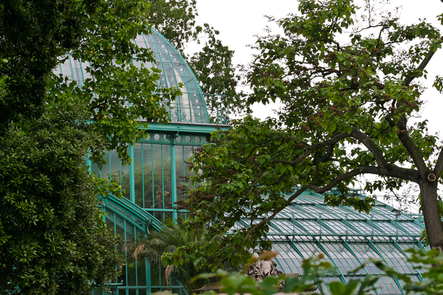 Photo du jardin des Serres d'Auteuil à Paris par Charles GUY