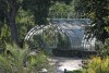 photo-des-jardins-des-serres-d-auteuil-paris-par-charles-guy-9 thumbnail