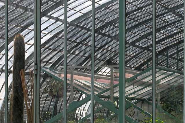 Photo du jardin des Serres d'Auteuil à Paris par Charles GUY
