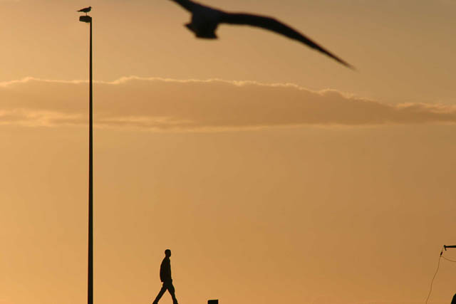 Essaouira - Mogador - Sud marocain - Photo de Charles GUY