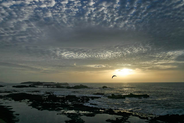 Essaouira - Mogador - Sud marocain - Photo de Charles GUY