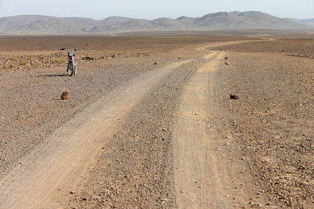 Dans l'Atlas - Sud marocain - Photo de Charles GUY