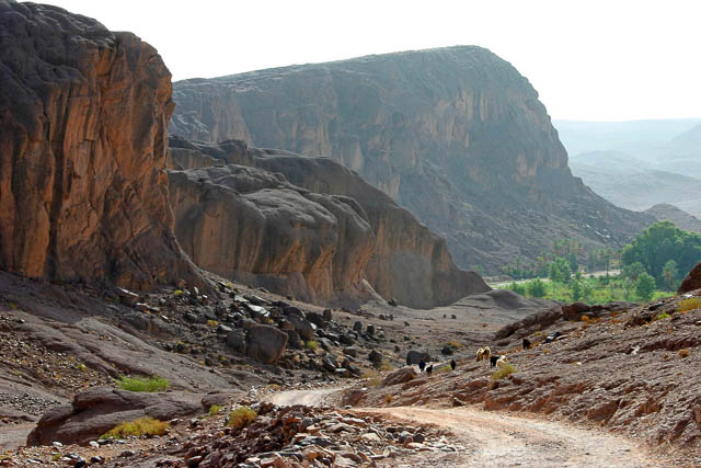 Dans l'Atlas - Sud marocain - Photo de Charles GUY