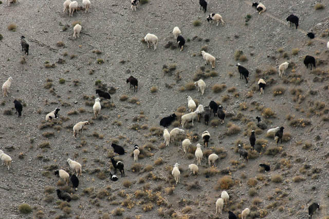 Dans l'Atlas - Sud marocain - Photo de Charles GUY