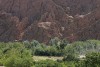 photo-sud-maroc-l-atlas-et-la-route-par-charles-guy-5 thumbnail