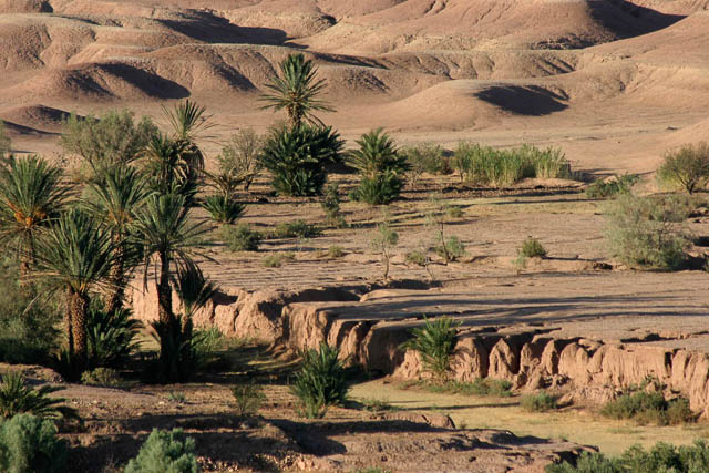 Dans l'Atlas - Sud marocain - Photo de Charles GUY