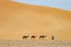 photo-sud-maroc-les-marocains-au-travail-par-charles-guy-7 thumbnail