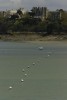 villas-dinardaises-noir-et-blanc-dinard-cote-d-emeraude-photo-par-charles-guy-c-5 thumbnail